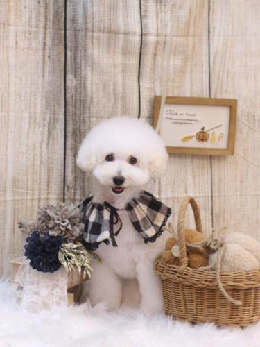 20241019ちくわくん